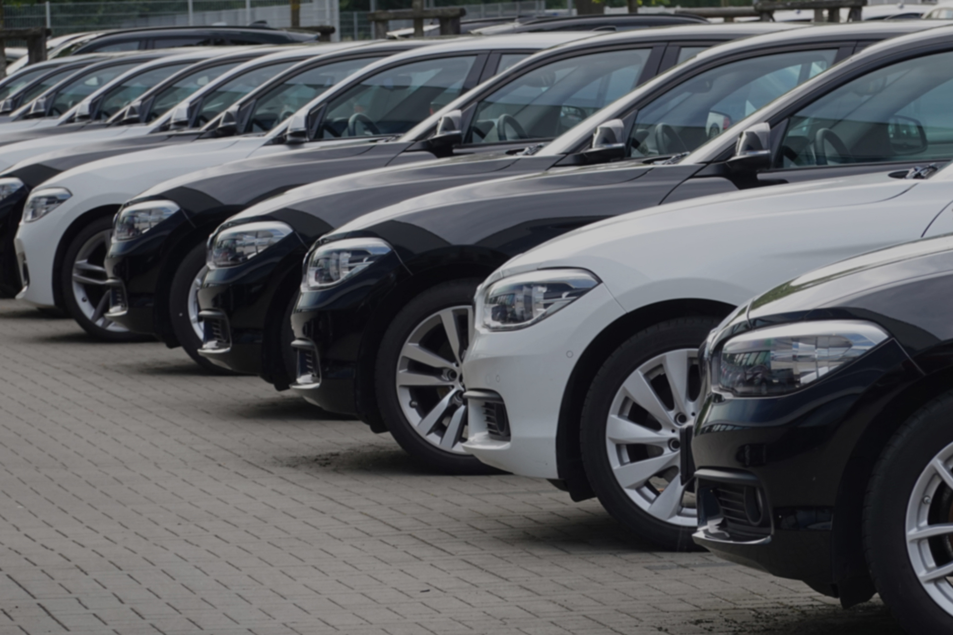 Informe vehicular Dicar